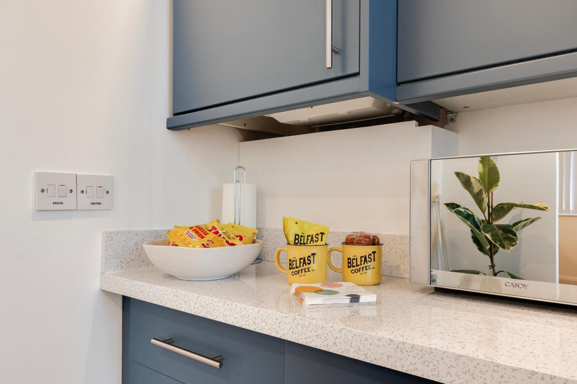 Cherryville Street Apartment Belfast Bagian luar foto